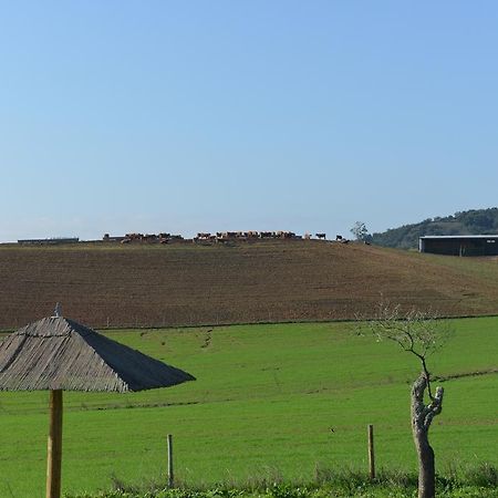 Herdade Dos Montes Bastos Santa Luzia  ภายนอก รูปภาพ