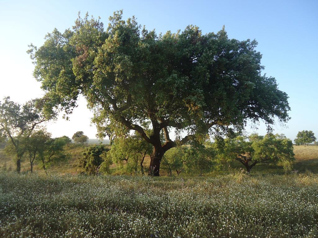 Herdade Dos Montes Bastos Santa Luzia  ภายนอก รูปภาพ