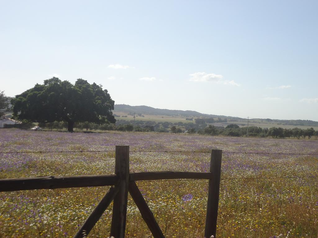 Herdade Dos Montes Bastos Santa Luzia  ภายนอก รูปภาพ