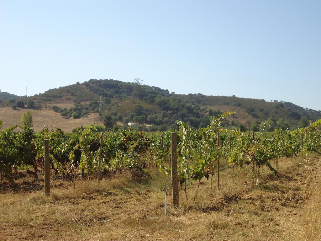 Herdade Dos Montes Bastos Santa Luzia  ภายนอก รูปภาพ