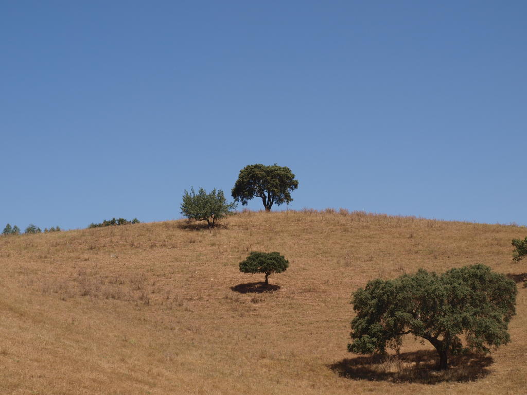 Herdade Dos Montes Bastos Santa Luzia  ภายนอก รูปภาพ